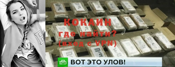 прущие грибы Кинешма