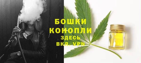 прущие грибы Кинешма