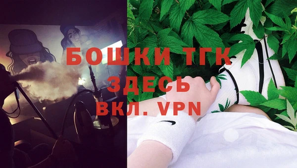 прущие грибы Кинешма