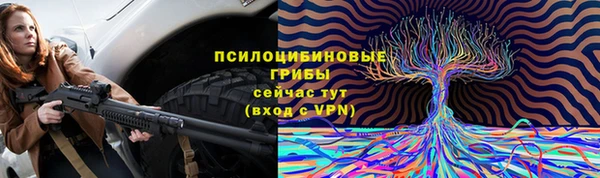 прущие грибы Кинешма